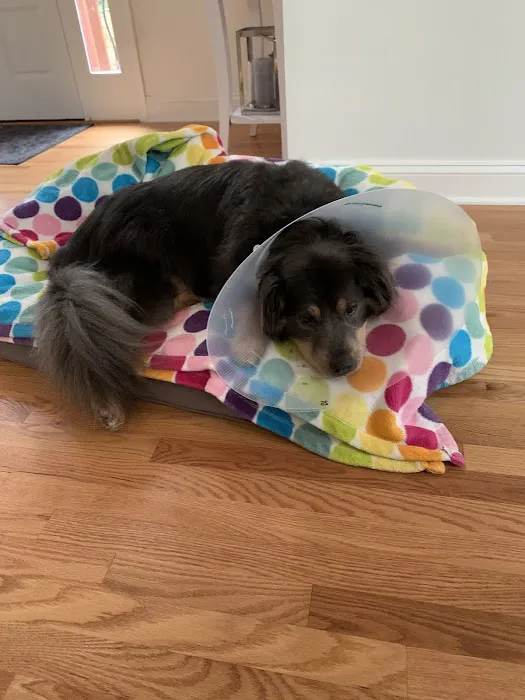 ProFormance Canine, Inc. Picture 6