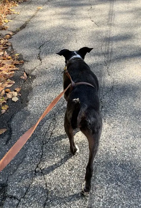 ProFormance Canine, Inc. Picture 5