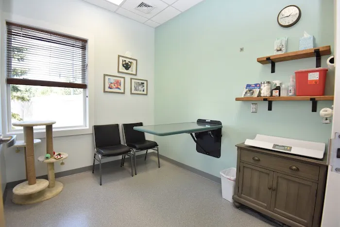 Compassionate Care Veterinary Services Picture 6