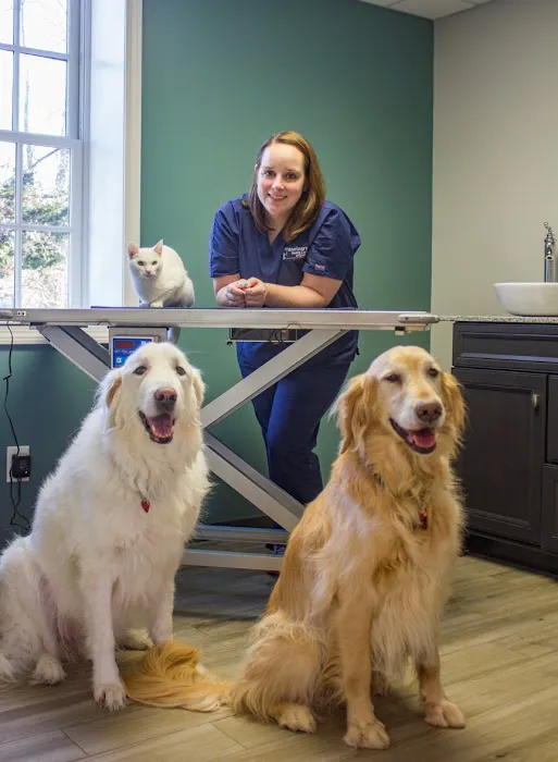 Veterinary Health Care of Groton Picture 4