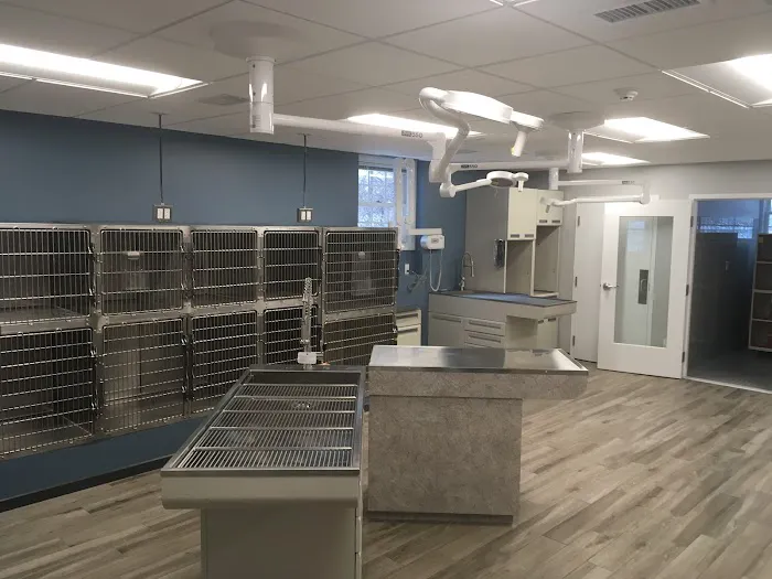 Veterinary Health Care of Groton Picture 7