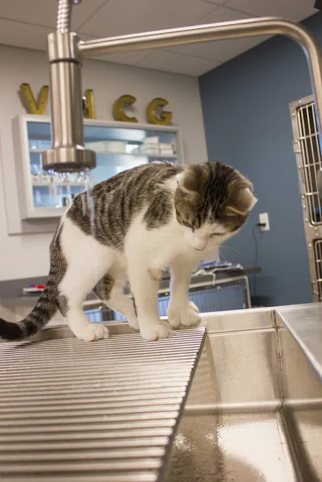 Veterinary Health Care of Groton Picture 9