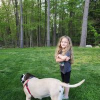 Pepperell Veterinary Hospital ico