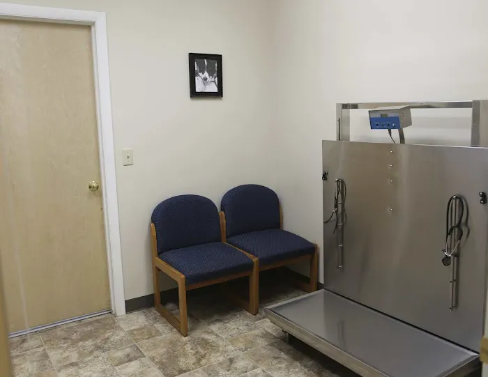 Pepperell Veterinary Hospital Picture 9