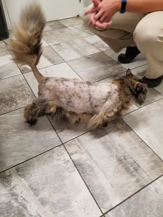Apple Country Animal Hospital Picture 9