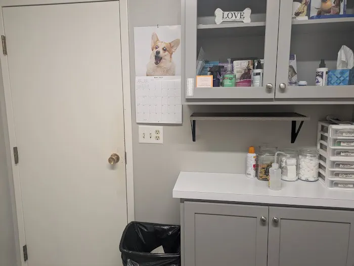 Apple Country Animal Hospital Picture 5