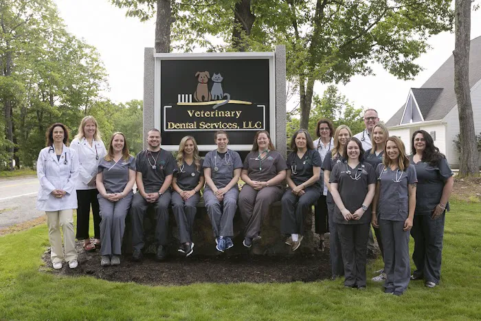 Veterinary Dental Services, LLC Picture 1