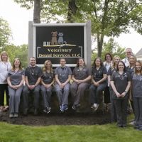 Veterinary Dental Services, LLC ico