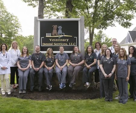 Veterinary Dental Services, LLC