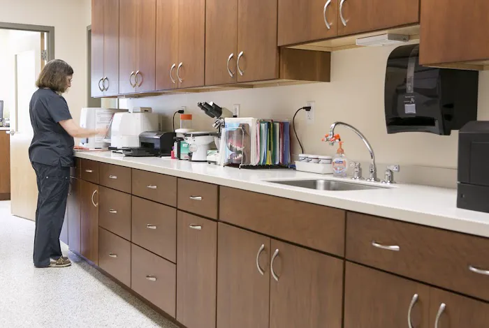 Veterinary Dental Services, LLC Picture 3