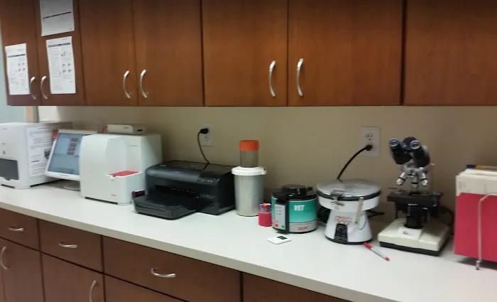 Veterinary Dental Services, LLC Picture 9