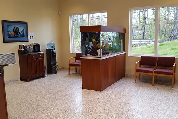 Veterinary Dental Services, LLC Picture 7