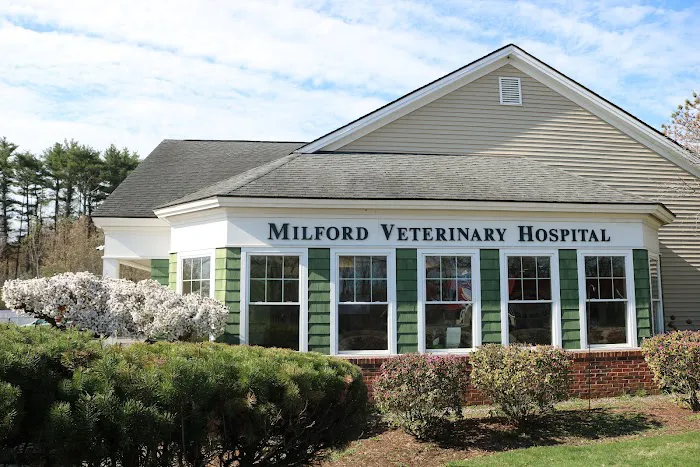 Milford Veterinary Hospital Picture 7