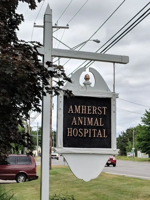 Amherst Animal Hospital Picture 8