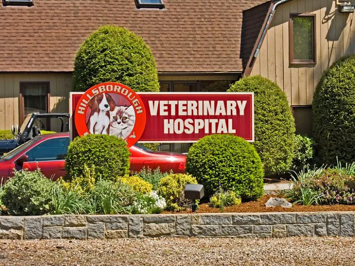 Hillsborough County Veterinary Hospital Picture 8