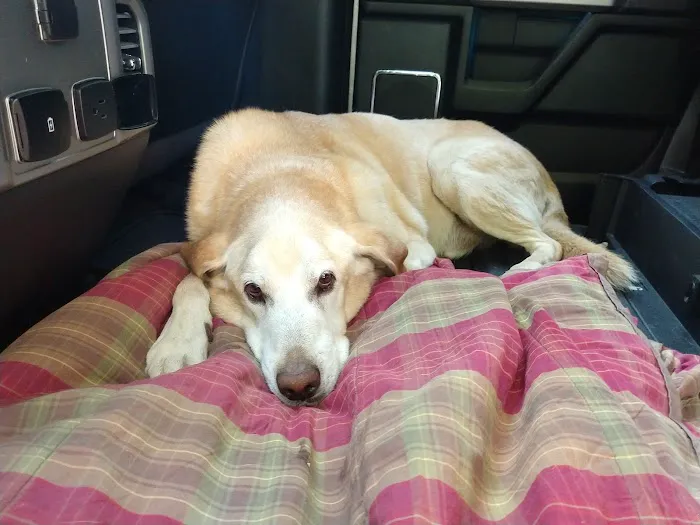 Hillsborough County Veterinary Hospital Picture 9