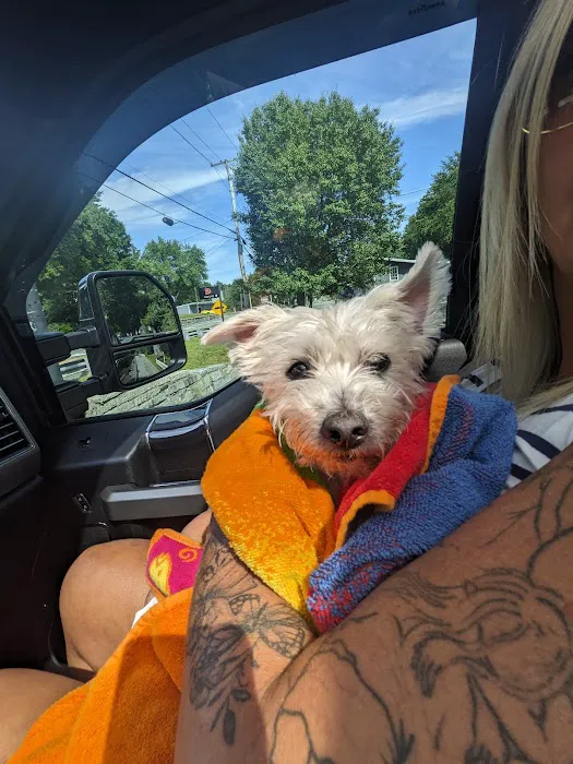 RAAM Mobile Veterinary Care Picture 1