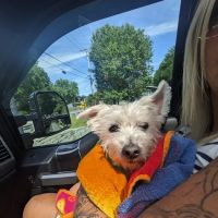RAAM Mobile Veterinary Care ico