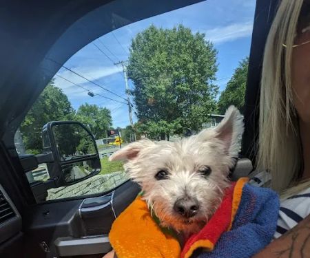 RAAM Mobile Veterinary Care