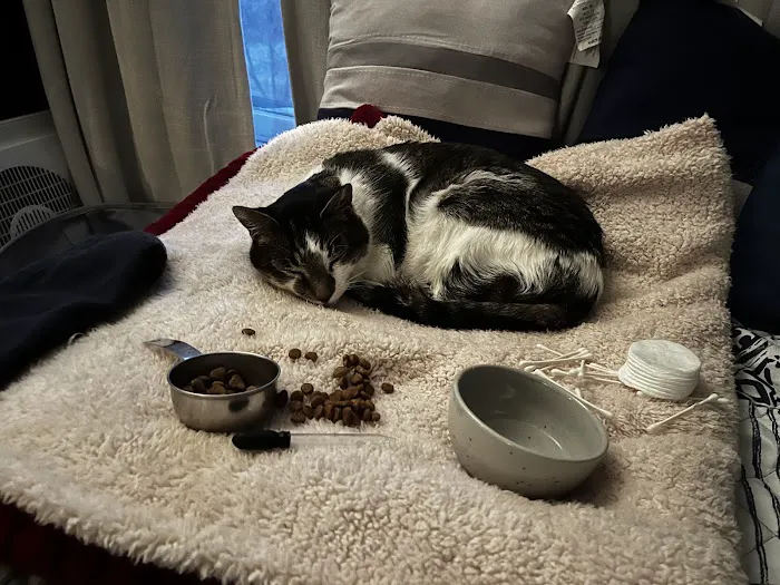 Naticook Veterinary Hospital Picture 2
