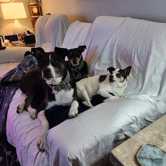 Naticook Veterinary Hospital Picture 7