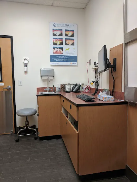 Banfield Pet Hospital Picture 7