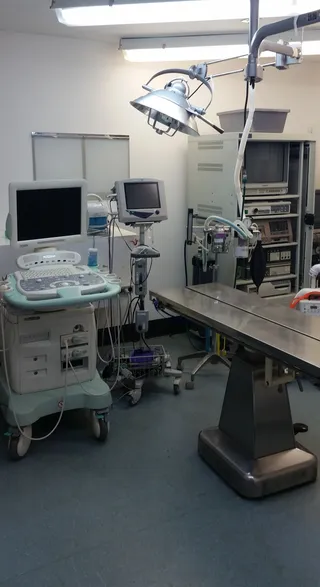 Merrimack Veterinary Hospital Picture 6