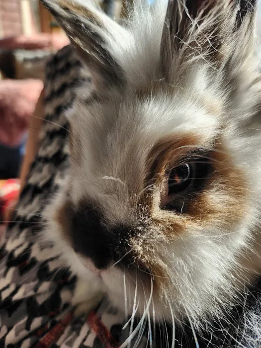 Littleton Animal Hospital Picture 4