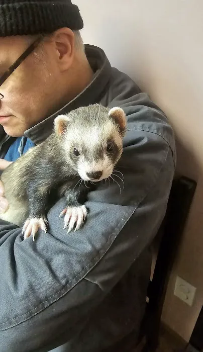 Littleton Animal Hospital Picture 7