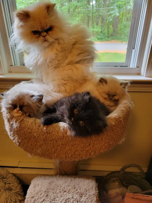 Starwood Veterinary Clinic Picture 3