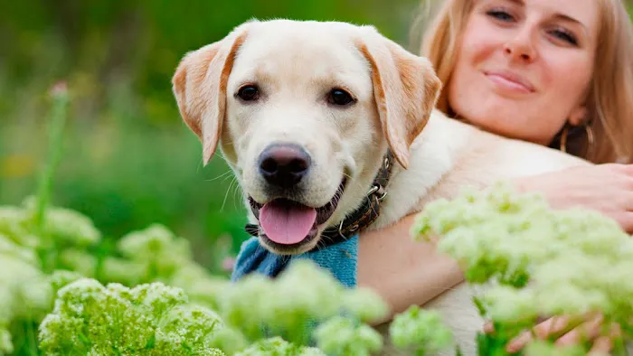 Starwood Veterinary Clinic Picture 10
