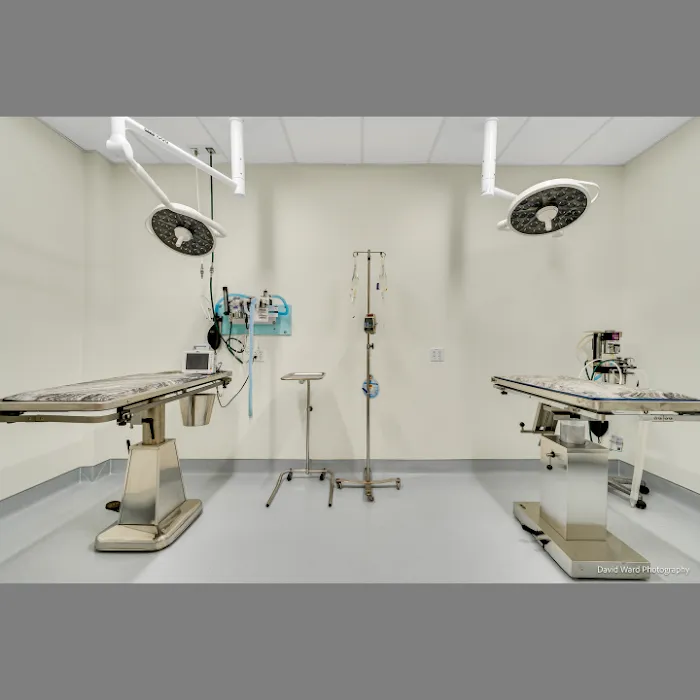 Middlesex Veterinary Center Picture 7