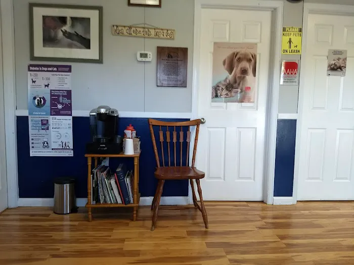 Bluestone Veterinary Services Picture 1