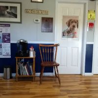 Bluestone Veterinary Services ico