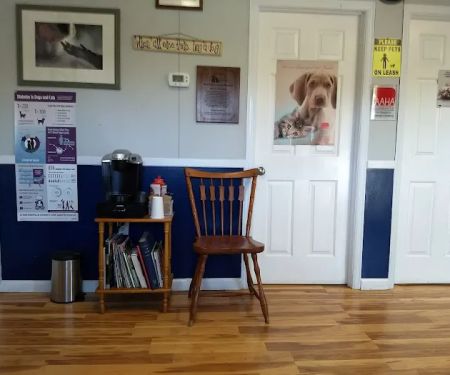 Bluestone Veterinary Services
