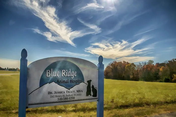 Bluestone Veterinary Services Picture 10