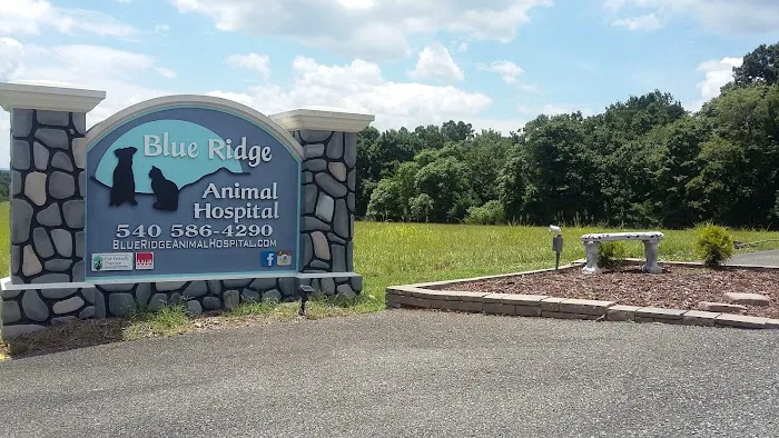 Bluestone Veterinary Services Picture 8