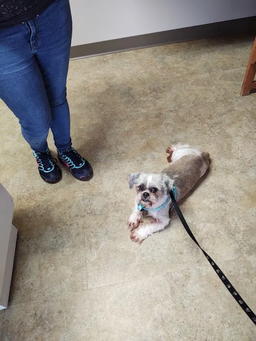 Riverside Veterinary Hospital Picture 1