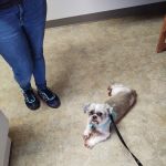 Riverside Veterinary Hospital