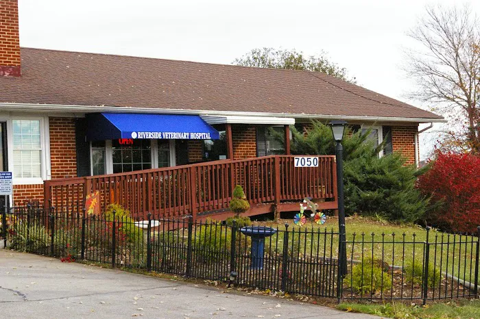 Riverside Veterinary Hospital Picture 5