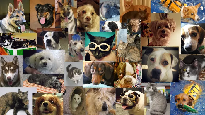 Riverside Veterinary Hospital Picture 9