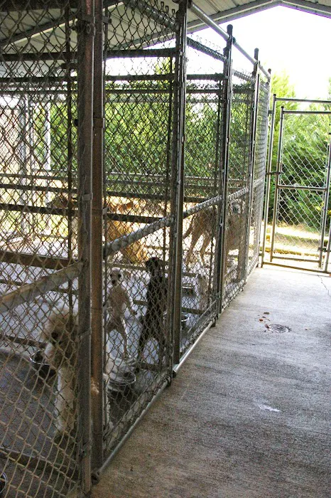 Riverside Veterinary Hospital Picture 10