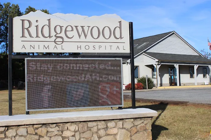 Ridgewood Animal Hospital Picture 2