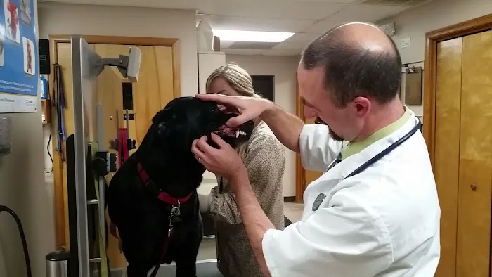 Ridgewood Animal Hospital Picture 1