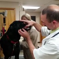 Ridgewood Animal Hospital ico