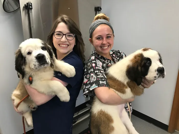 Ridgewood Animal Hospital Picture 4