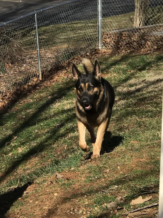 Ridgewood Animal Hospital Picture 8
