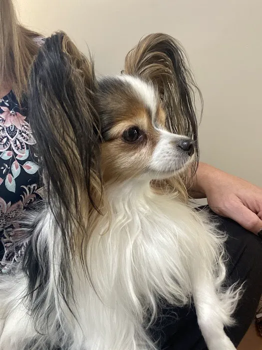 Ridgewood Animal Hospital Picture 3
