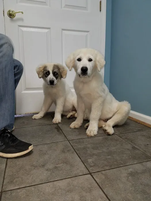 Staunton River Veterinary Clinic Picture 1