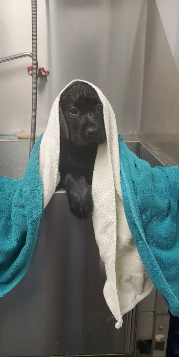 Staunton River Veterinary Clinic Picture 7
